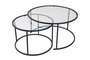 Hanah Home Juego de 2 Mesas de Café de Vidrio Templado Negro Transparentes 80x60 cm